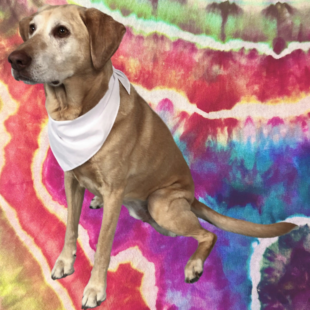 Triangle Bandana